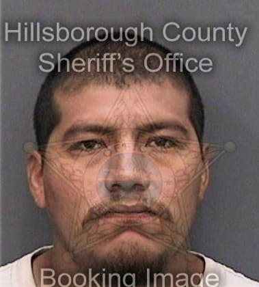 Travis Morgan, - Hillsborough County, FL 