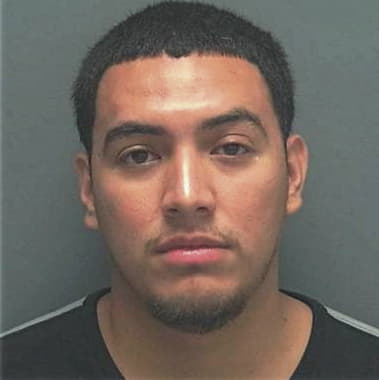 Elias Reynoso-Mendez, - Lee County, FL 