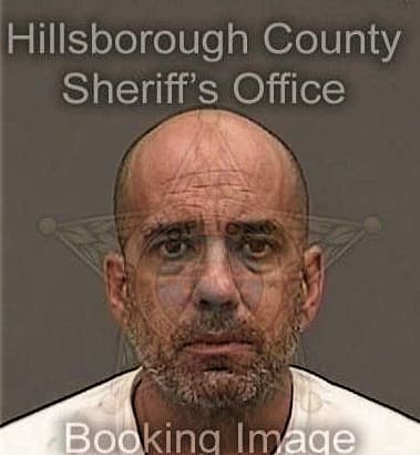 Selvin Sanchezmansilla, - Hillsborough County, FL 