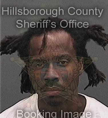 Jamon Williams, - Hillsborough County, FL 