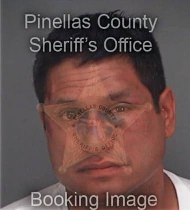 Hector Betancourt, - Pinellas County, FL 