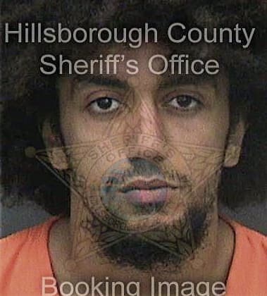 Hector Cuarto-Martinez, - Hillsborough County, FL 