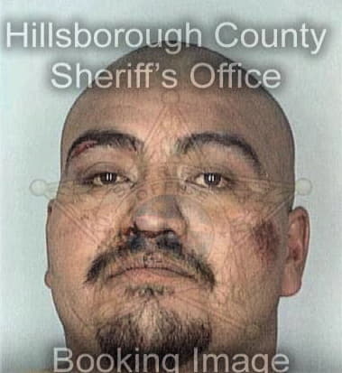 Santiago Espinoza, - Hillsborough County, FL 