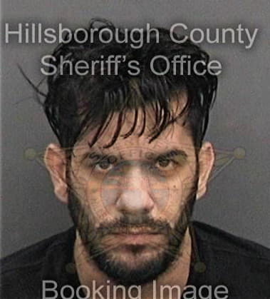 Oscar Palmacruz, - Hillsborough County, FL 