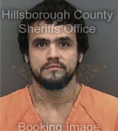 Reynaldo Porrata, - Hillsborough County, FL 