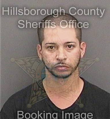Bryan Rizo - Hillsborough County, FL 