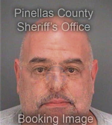 Gabriel Sanchezmosquera, - Pinellas County, FL 