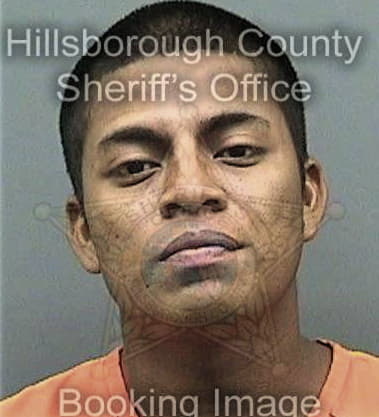 Satyajit Tottappillil, - Hillsborough County, FL 