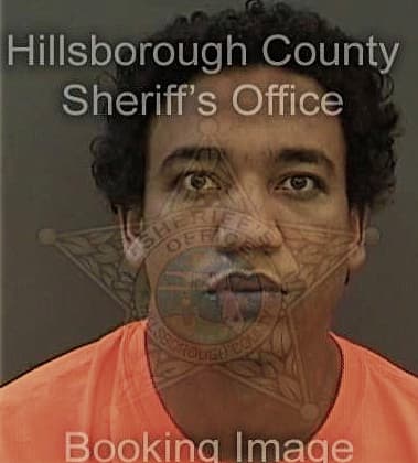 Luis Carrasquillomontes, - Hillsborough County, FL 