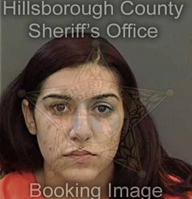 Lilian Costantine, - Hillsborough County, FL 