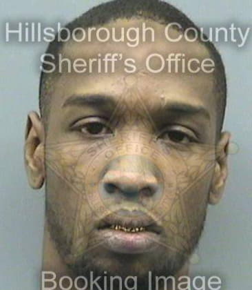 Patrick Davis, - Hillsborough County, FL 