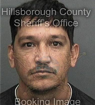 Christopher Goff, - Hillsborough County, FL 