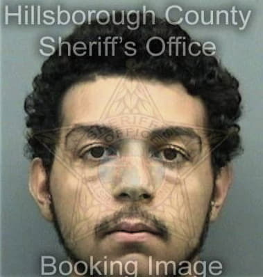 Henry King, - Hillsborough County, FL 