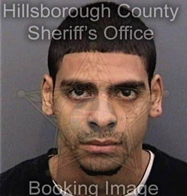 Kelvin Reyes, - Hillsborough County, FL 