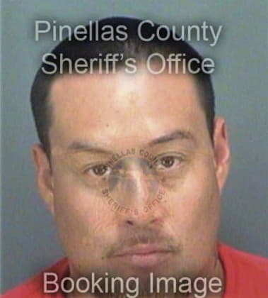 Timothy Stagnitta - Pinellas County, FL 