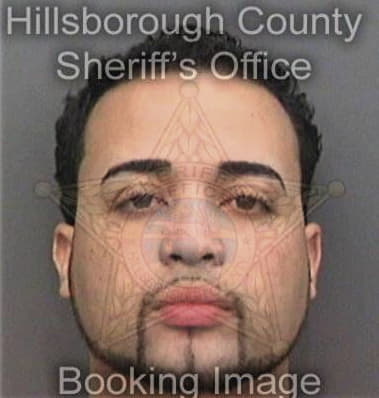 Alexis Villanuevacruz, - Hillsborough County, FL 