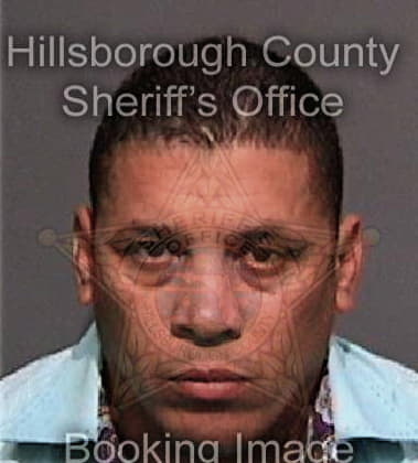 Daniel Balzarotti, - Hillsborough County, FL 