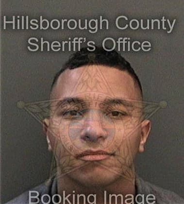 Daniel Buchholz, - Hillsborough County, FL 