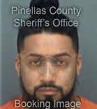 Marvin Castaneda, - Pinellas County, FL 