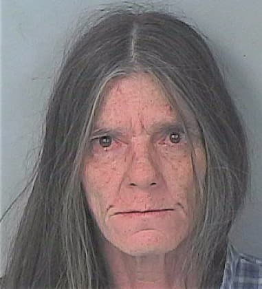 Debora Defigueiredo, - Hernando County, FL 