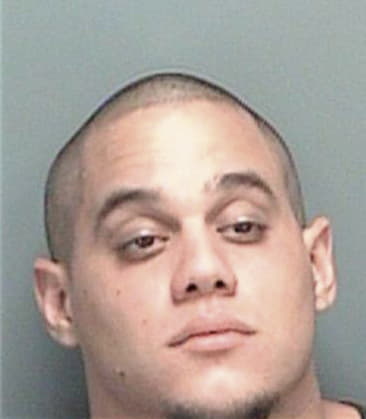 Rudy Pazestupinan, - Pinellas County, FL 