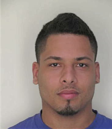 Christopher Whitcomb - Hillsborough County, FL 