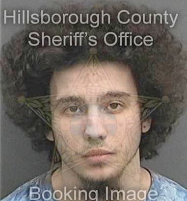 Nicholas Zeman, - Hillsborough County, FL 