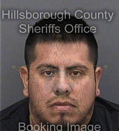 Ali Zumbado, - Hillsborough County, FL 