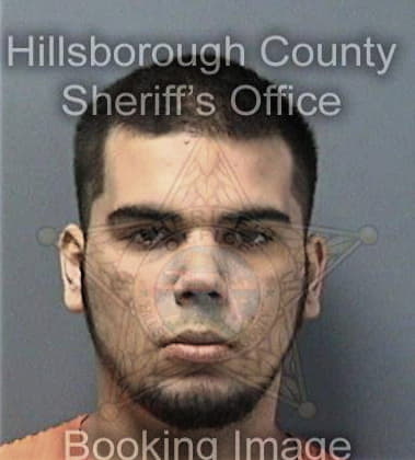 Jose Callejasmejia, - Hillsborough County, FL 