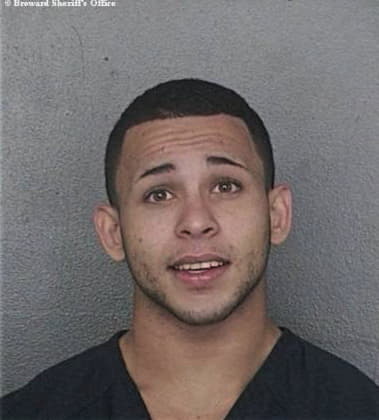 Micahel Matava, - Broward County, FL 