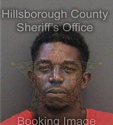 Ryan Moss, - Hillsborough County, FL 