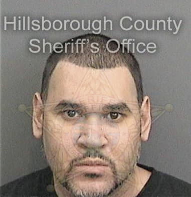 Johnthan Stines, - Hillsborough County, FL 