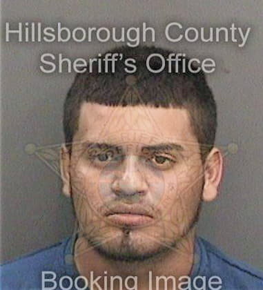 George Williams, - Hillsborough County, FL 