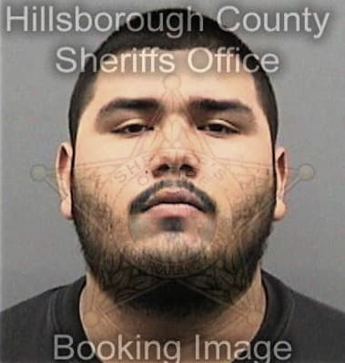 Arthur Brefka - Hillsborough County, FL 