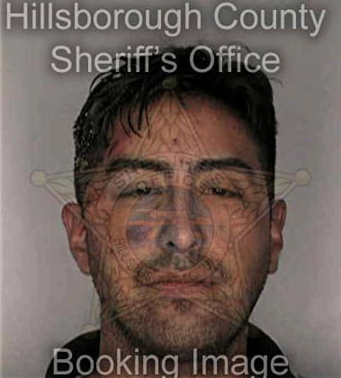 Nicholas Hernandez - Hillsborough County, FL 