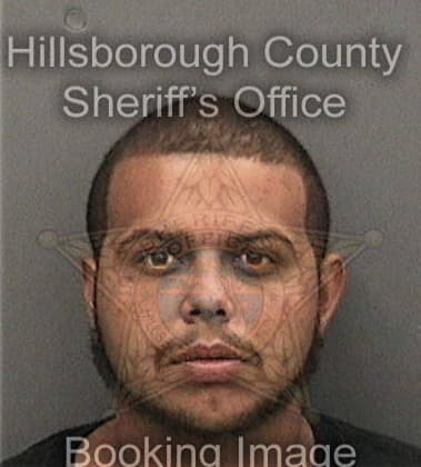 Ricardo Martinez, - Hillsborough County, FL 