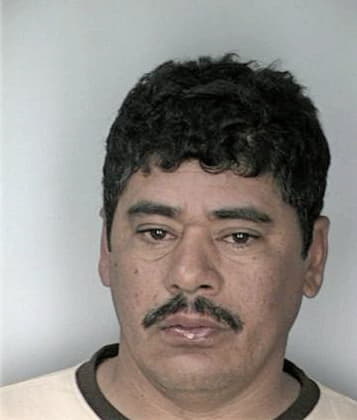 Mario Mendozarodriguez - Hillsborough County, FL 