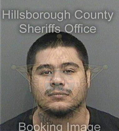 Adonay Pinonrodriguez, - Hillsborough County, FL 