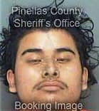 Christian Torres-Vidal, - Pinellas County, FL 