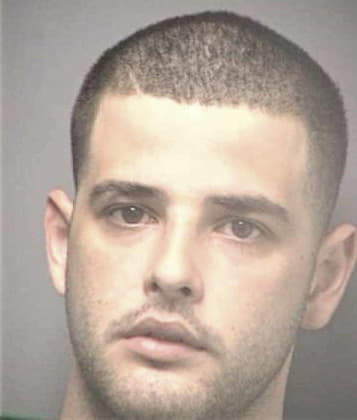 Manuel Bonet - Hillsborough County, FL 