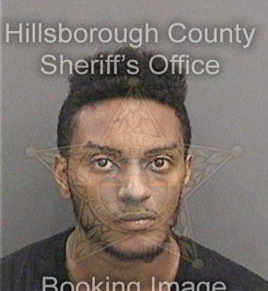 Michael Lanesmith, - Hillsborough County, FL 