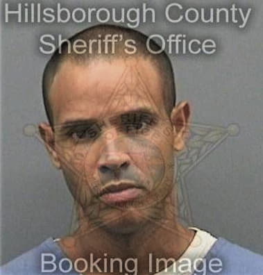 Stephen Palladino, - Hillsborough County, FL 