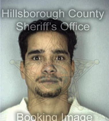 Mohammed Ravaie, - Hillsborough County, FL 