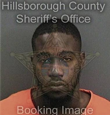 Ronald Swinson, - Hillsborough County, FL 