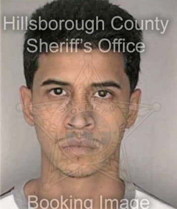 Luis Angonquires, - Hillsborough County, FL 