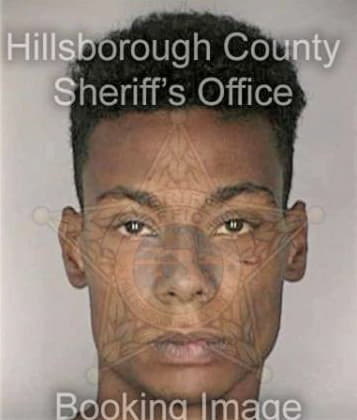 Kenneth Blake - Hillsborough County, FL 