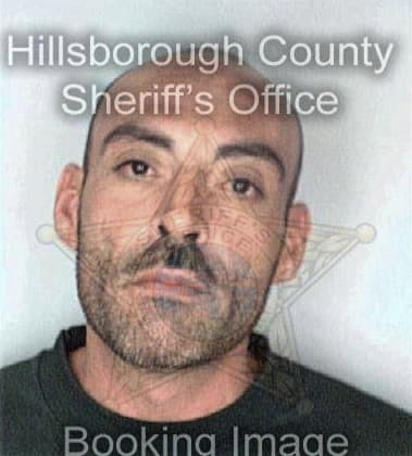 Michael Bridges - Hillsborough County, FL 