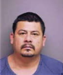 Nelson Mendez, - Manatee County, FL 