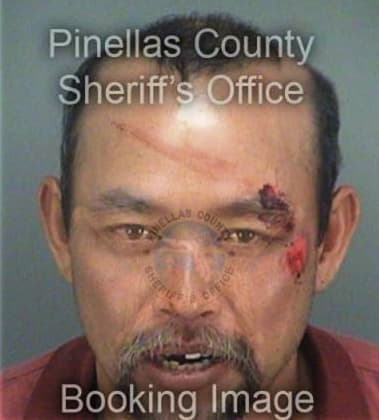 Byron Orellana, - Pinellas County, FL 