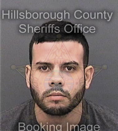 Nicholas Ramsey, - Hillsborough County, FL 